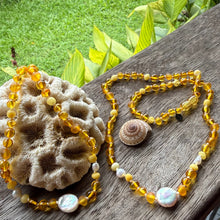 Load image into Gallery viewer, Honey Bee