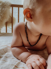 Load image into Gallery viewer, Bloem / Cedar