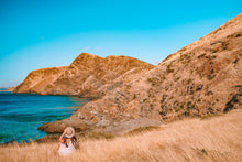 Load image into Gallery viewer, ~ Fleurieu ~
