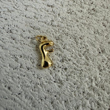 Load image into Gallery viewer, Small Gold Bubble Letter
