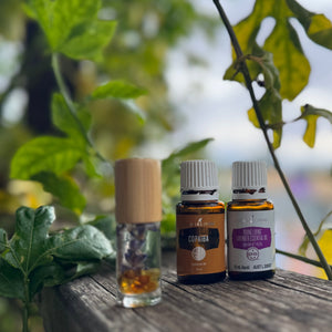 Amber Teething Support Kit